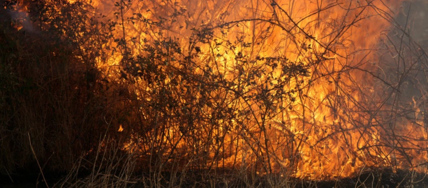 Σε κλοιό πυρκαγιών η χώρα: Εκκενώθηκε χωριό στη Λαμία - «Μάχη» με τις φλόγες σε Αγ. Θεοδώρους, Μάνη, Τρίκαλα, Εύβοια